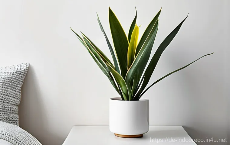 식물로 실내 공기 정화 - **A Serene Bedroom with a Sansevieria (Snake Plant):**
    A tranquil and minimalist bedroom bathed ...