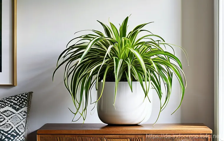 식물로 실내 공기 정화 - **A Serene Bedroom with a Sansevieria (Snake Plant):**
    A tranquil and minimalist bedroom bathed ...