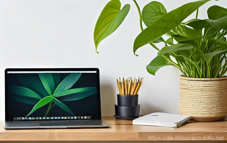 식물로 실내 공기 정화 - **A Bright Living Space Featuring a Chlorophytum comosum (Spider Plant):**
    A vibrant and invitin...