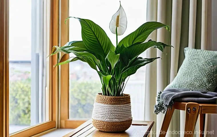 미세먼지 제거 방법 - **Prompt 1: Cross-Ventilation for Freshness**
    *   **Description:** A bright, inviting living roo...